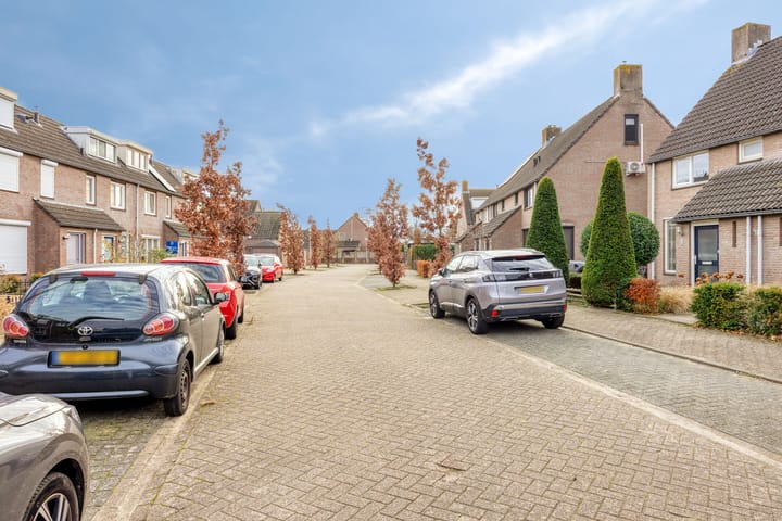 Photo 30 of Dopheidebeemd 7