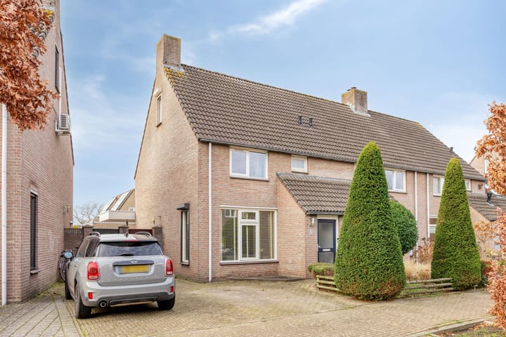 Photo 31 of Dopheidebeemd 7