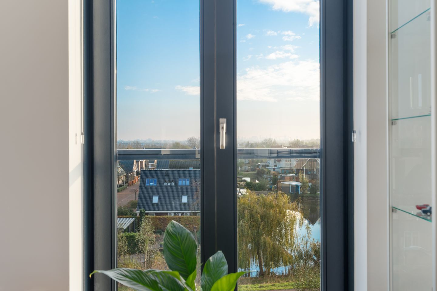 Photo 10 of Mare 100