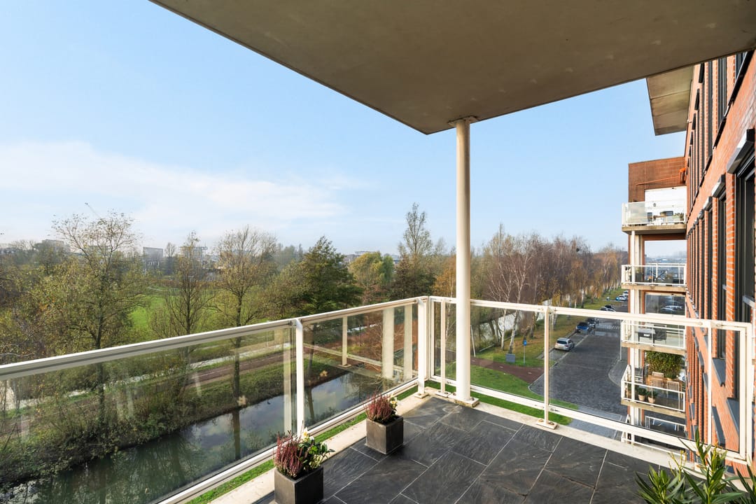 Photo 11 of Mare 100