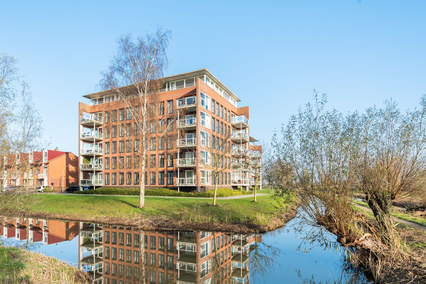 Photo 35 of Mare 100