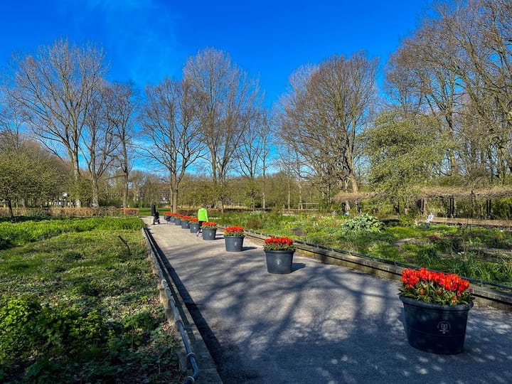 Foto 30 van Esmoreitstraat 26-3