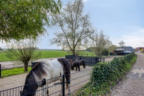 Molendijk 7 tertiary image