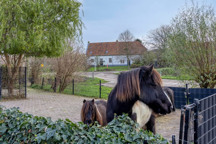 Foto 40 van Molendijk 7