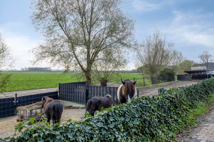 Foto 41 van Molendijk 7