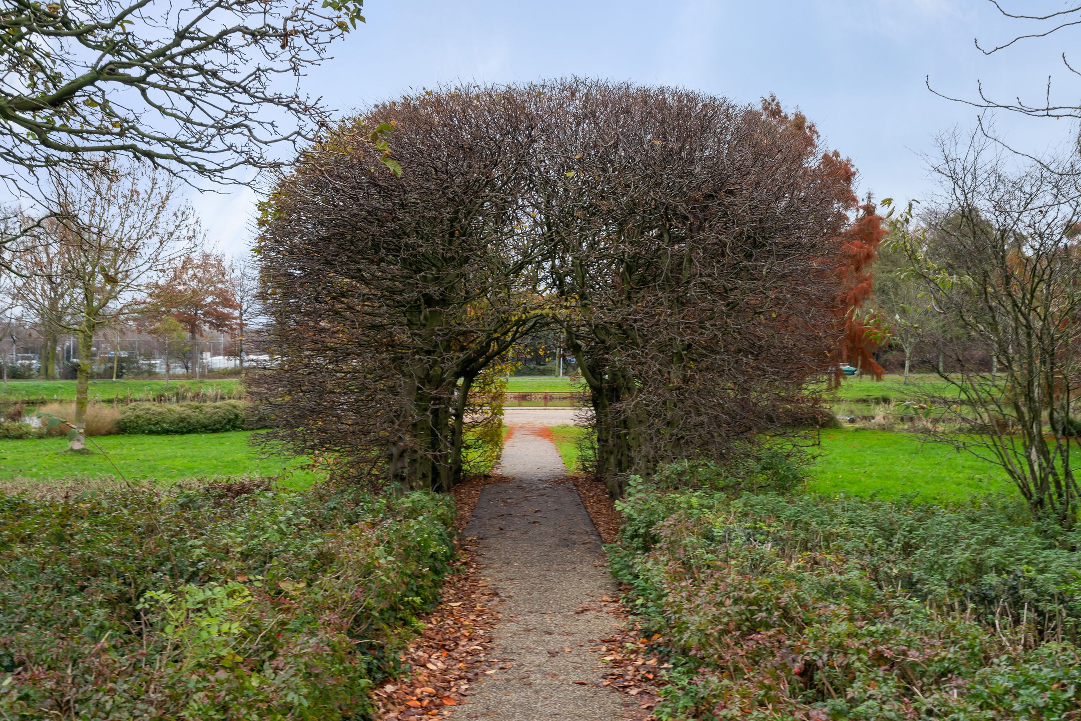 Photo 60 of Noteboompark 3