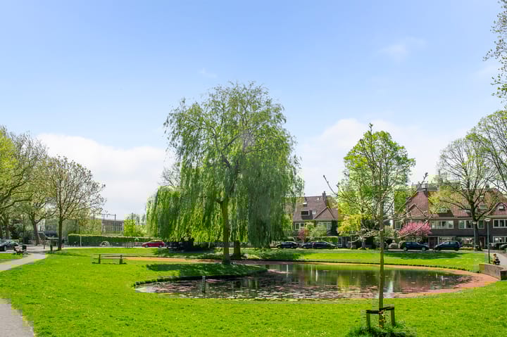 Photo 38 of Prins Hendriklaan 21