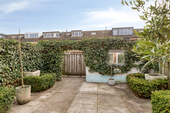 Foto 26 van Populier 78