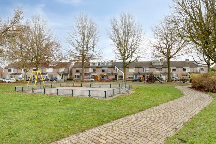 Foto 29 van Populier 78