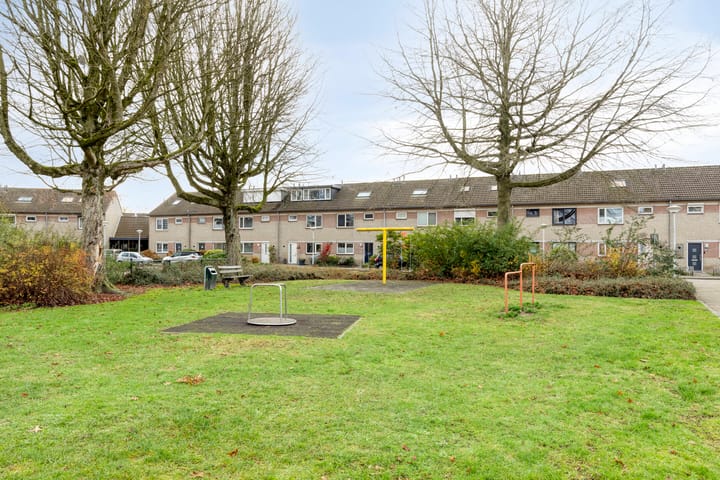 Foto 30 van Populier 78