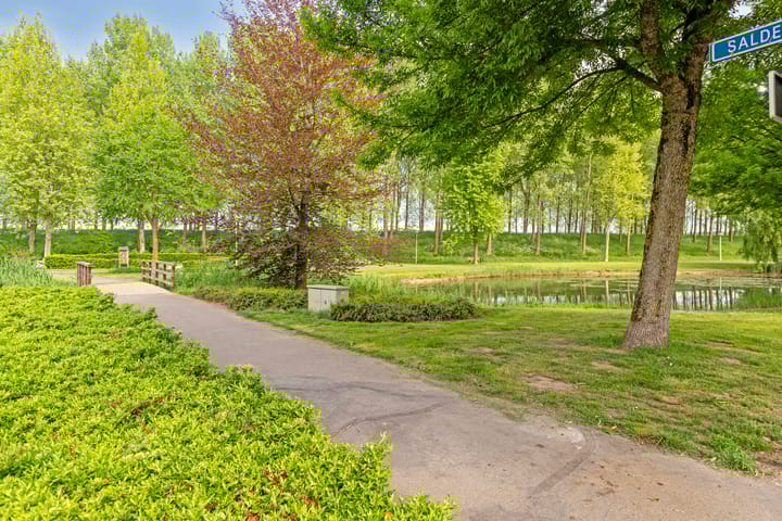 Foto 31 van Populier 78