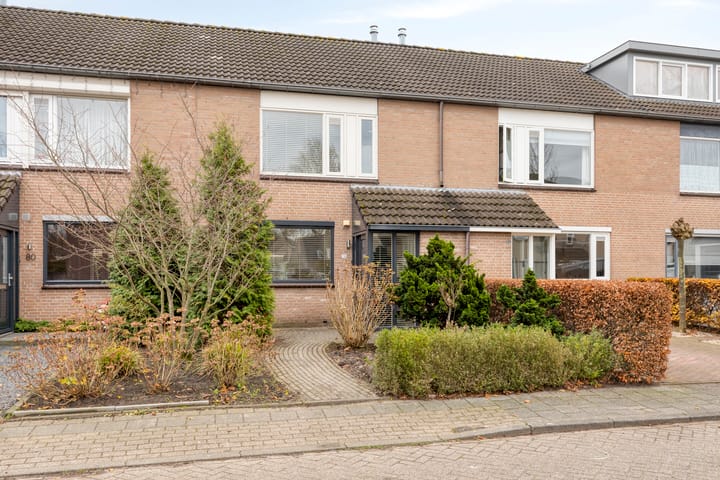 Foto 32 van Populier 78