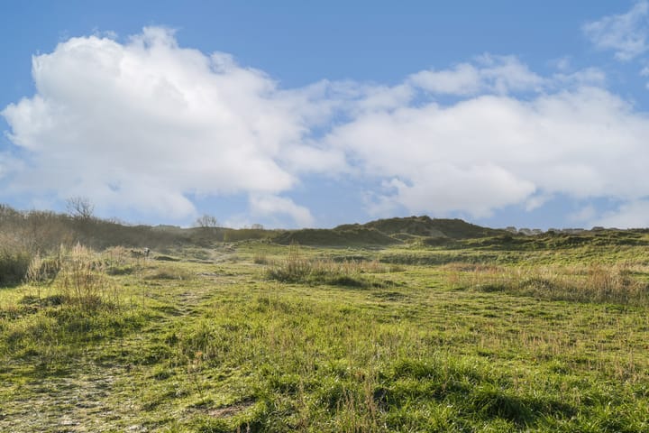 Photo 41 of Patrijzenstraat 4