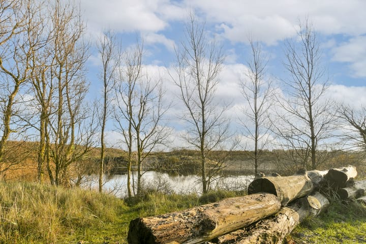 Photo 42 of Patrijzenstraat 4