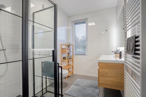 Hollandse linde 60-B tertiary image