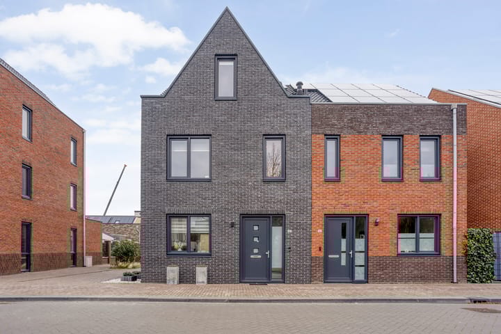 Foto 4 van Hollandse linde 60-B