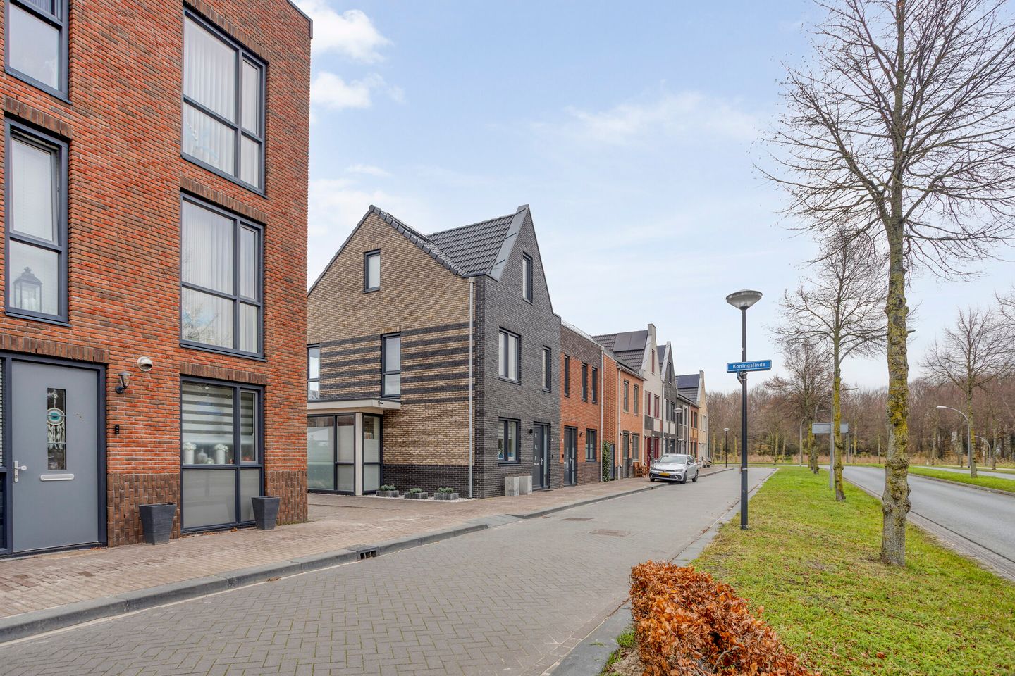 Foto 10 van Hollandse linde 60-B