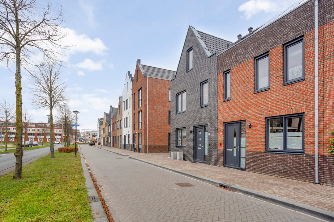Foto 46 van Hollandse linde 60-B