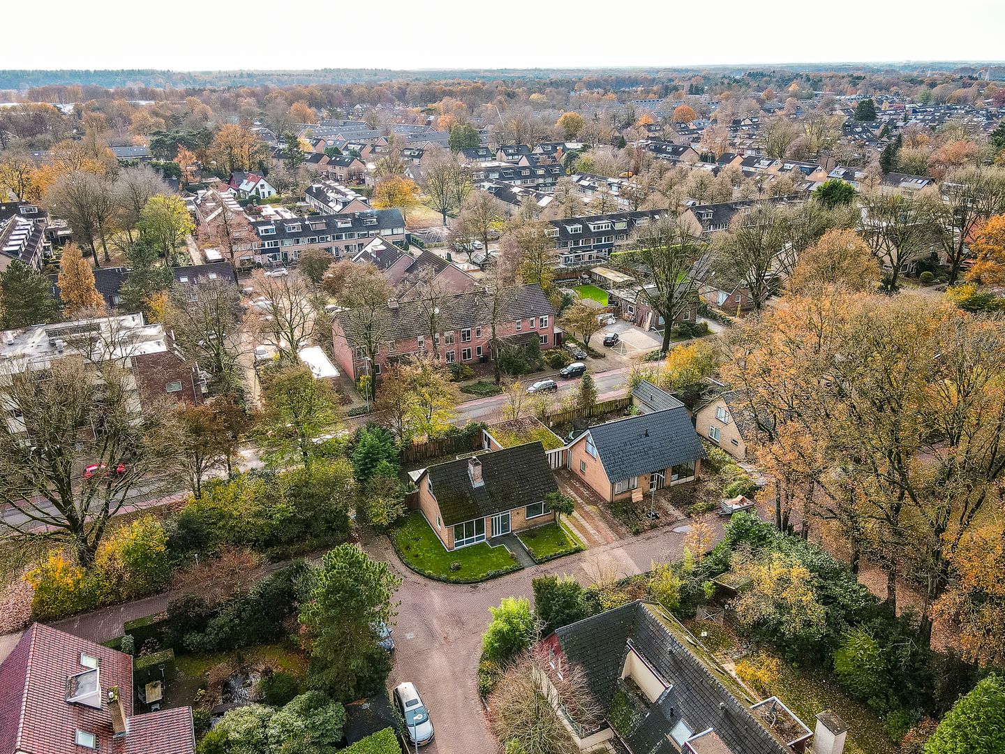 Foto 55 van Wiekslag 1