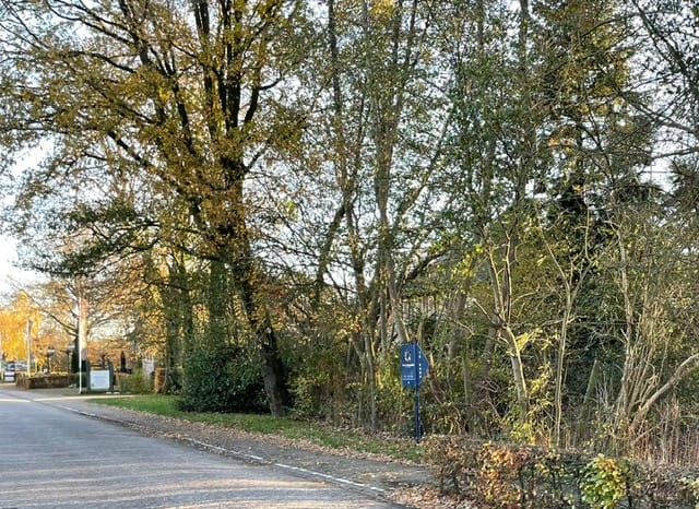 Foto 2 van Baarschotsestraat 44