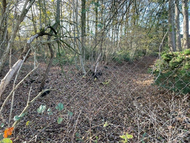 Foto 4 van Baarschotsestraat 44