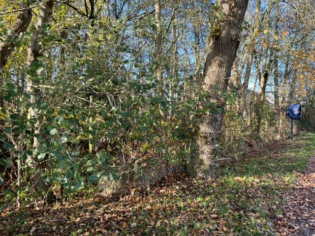 Foto 3 van Baarschotsestraat 44