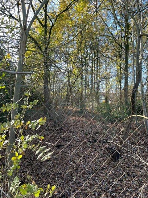 Foto 5 van Baarschotsestraat 44