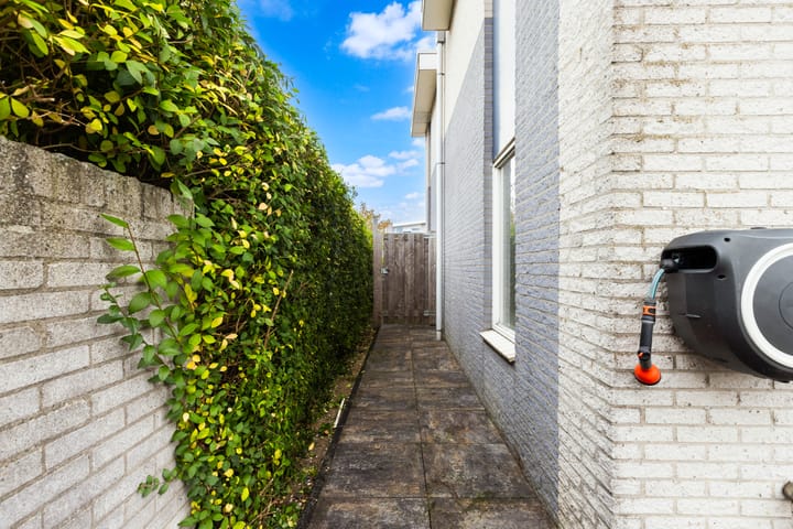 Foto 16 van Mahonie 220