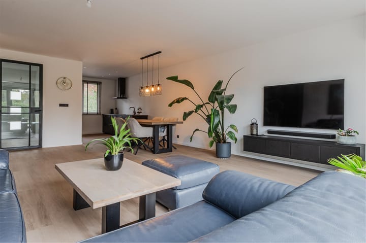 Photo 2 of Pluimgras 16