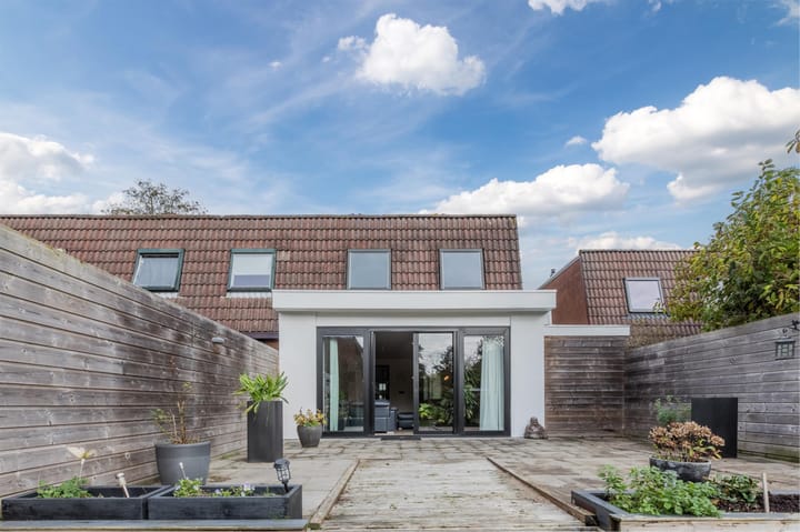 Photo 5 of Pluimgras 16