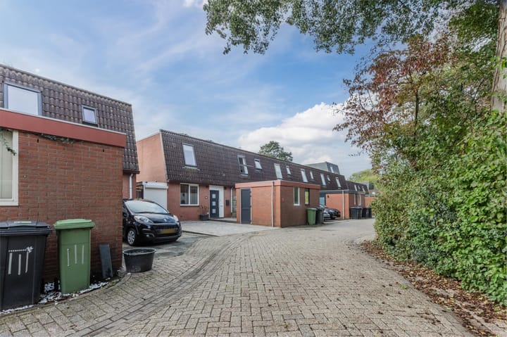 Photo 7 of Pluimgras 16