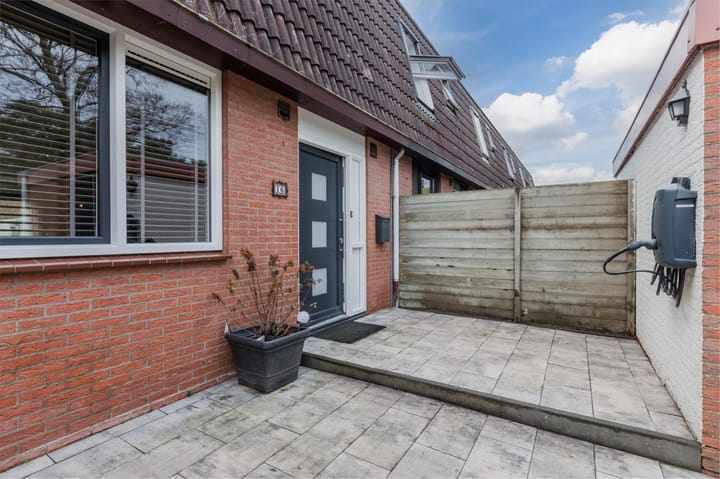 Photo 10 of Pluimgras 16