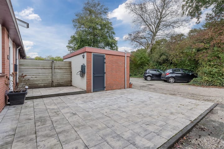 Photo 12 of Pluimgras 16