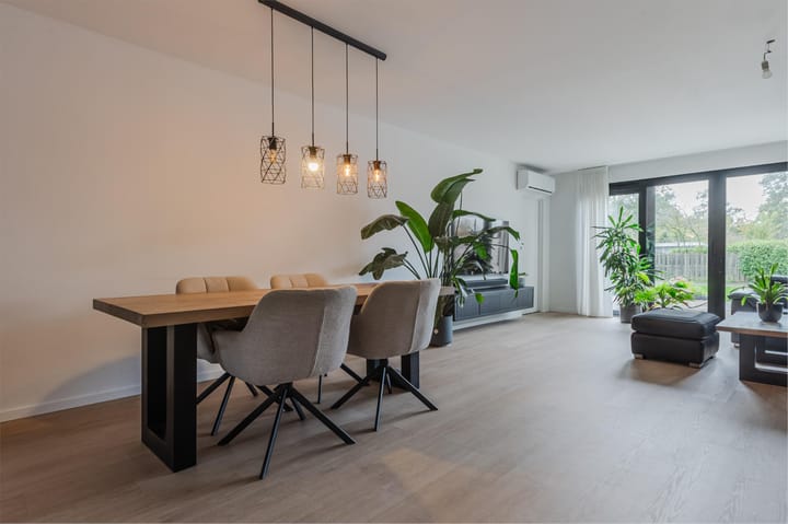 Photo 16 of Pluimgras 16