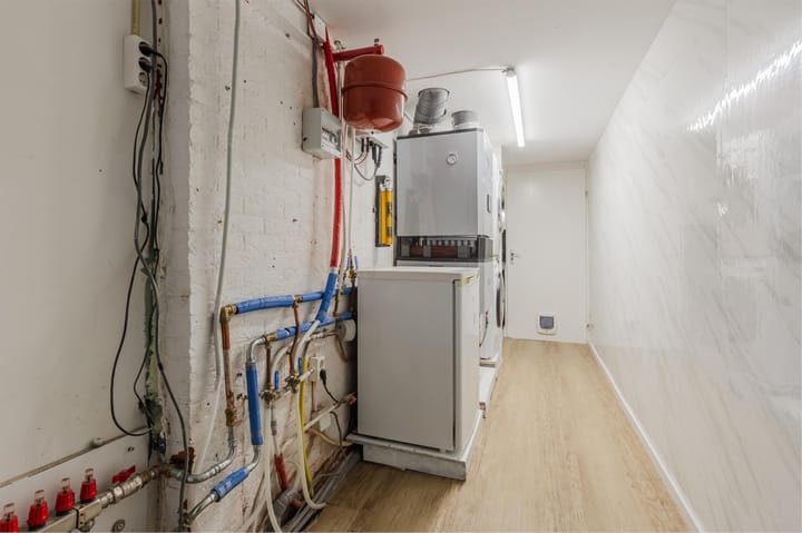 Photo 22 of Pluimgras 16