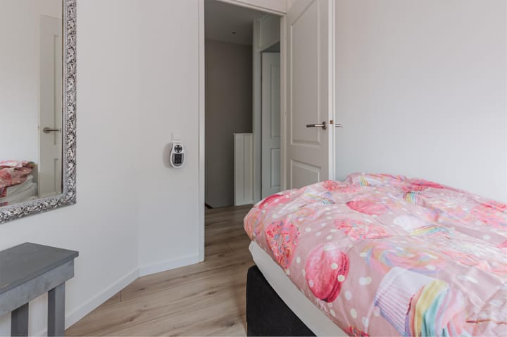 Photo 37 of Pluimgras 16