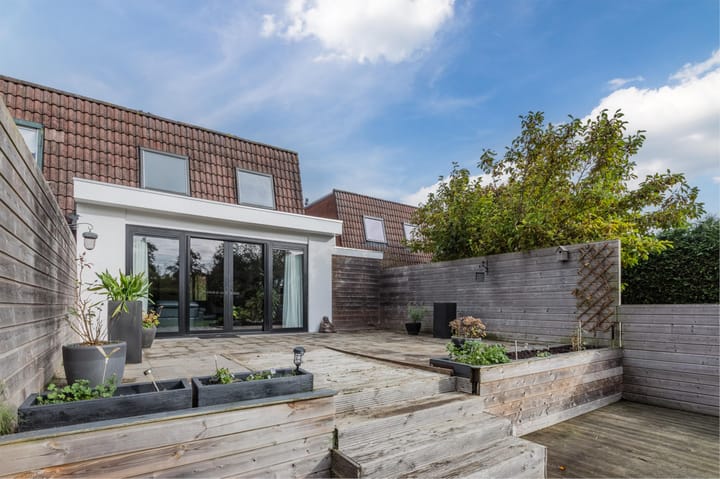 Photo 51 of Pluimgras 16