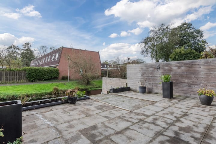 Photo 52 of Pluimgras 16