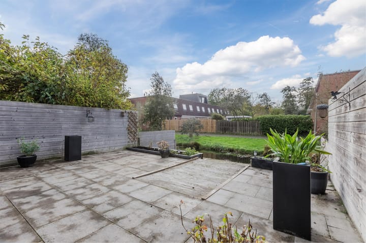 Photo 53 of Pluimgras 16