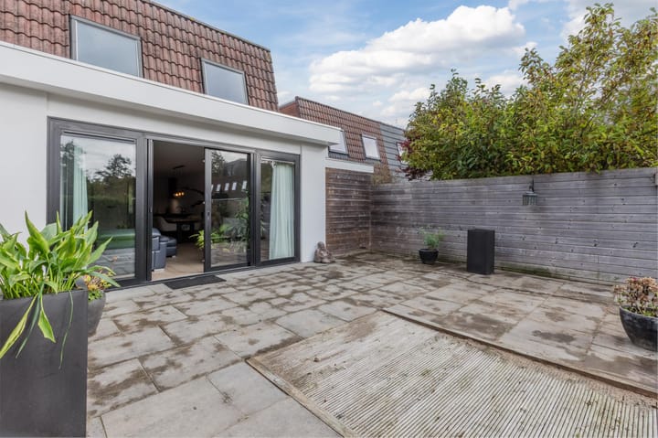 Photo 54 of Pluimgras 16