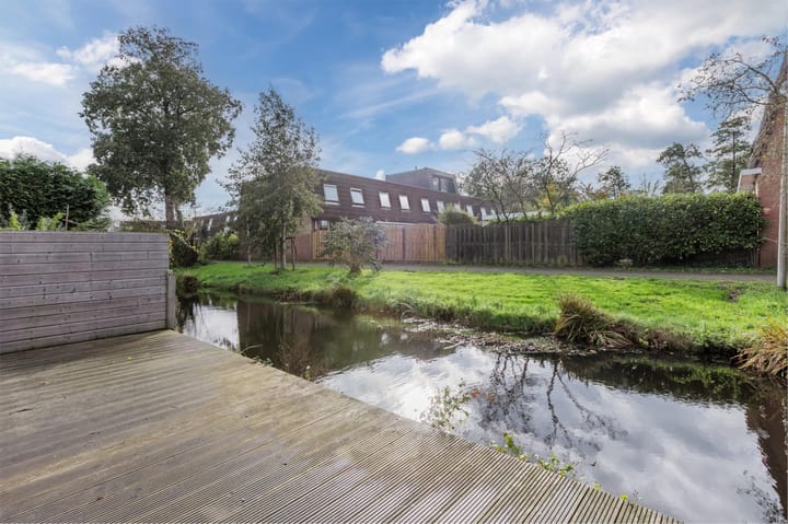 Photo 56 of Pluimgras 16