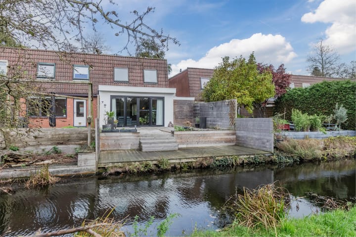 Photo 61 of Pluimgras 16