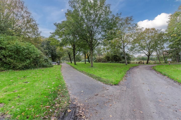 Photo 63 of Pluimgras 16