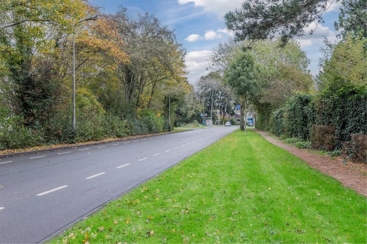 Photo 64 of Pluimgras 16