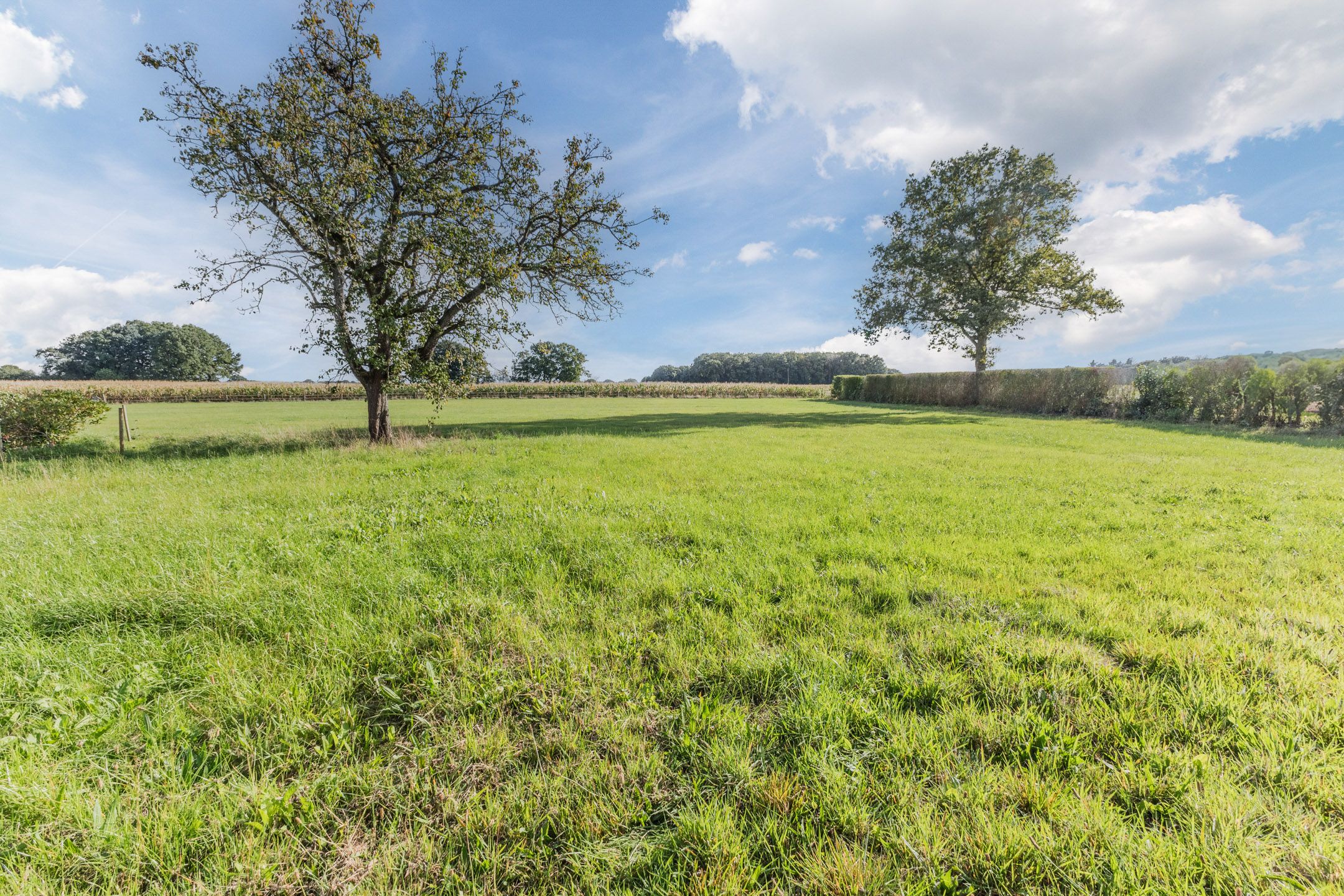 Photo 9 of Heezerenbosch 10-A