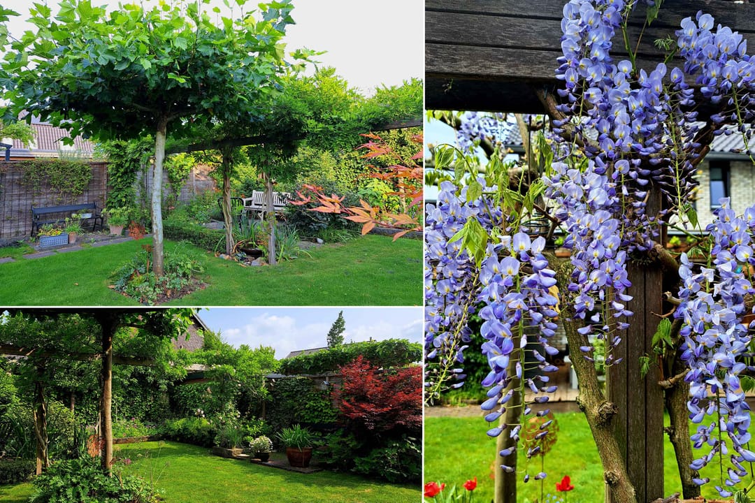 Foto 22 van Bessel van Butselerlaan 10