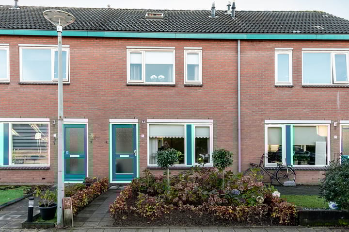 Ranonkel 5 main image