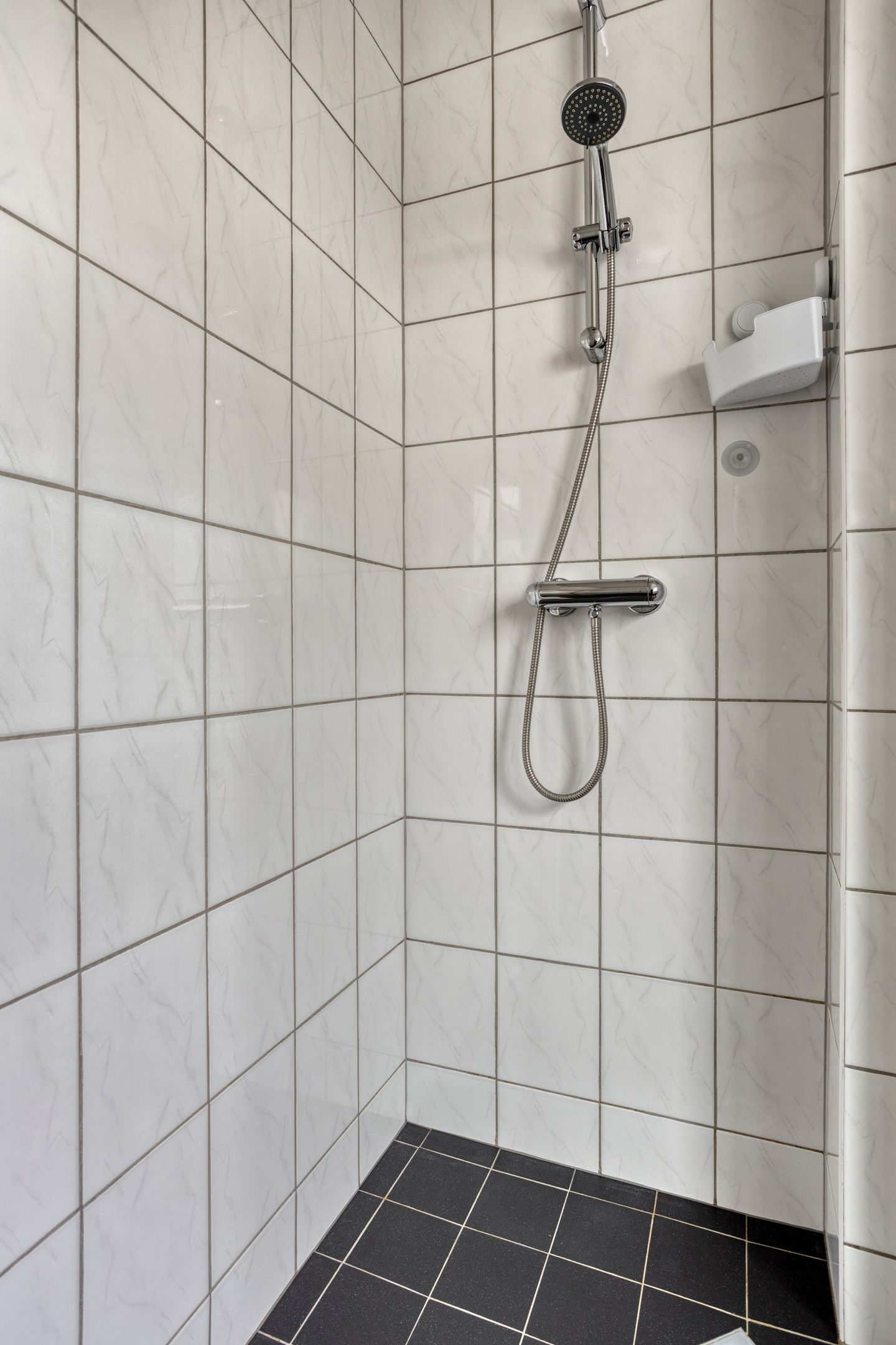 Photo 18 of Revelsant 3