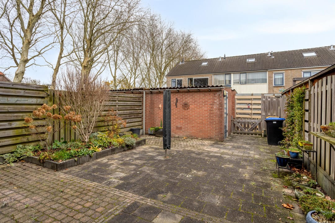 Photo 31 of Revelsant 3