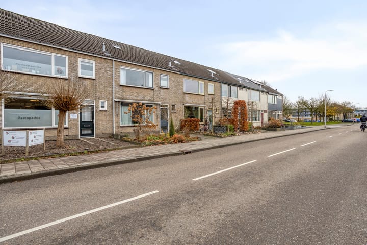 Photo 38 of Revelsant 3